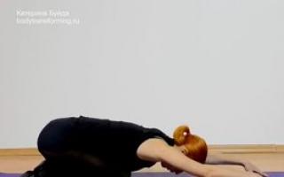 Современная модель йоги от катерины буйды